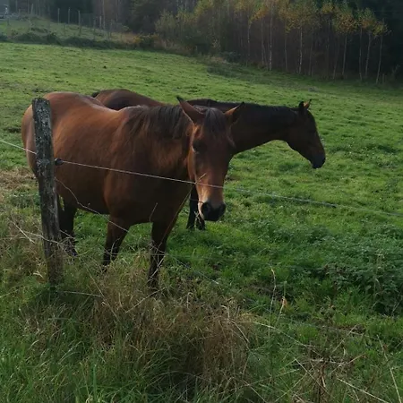 Apartment Ferme Evasion Vosges 1783 Saulxures-sur-Moselotte